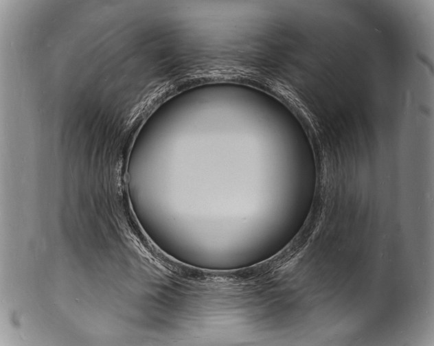 X0000101690585200807101210