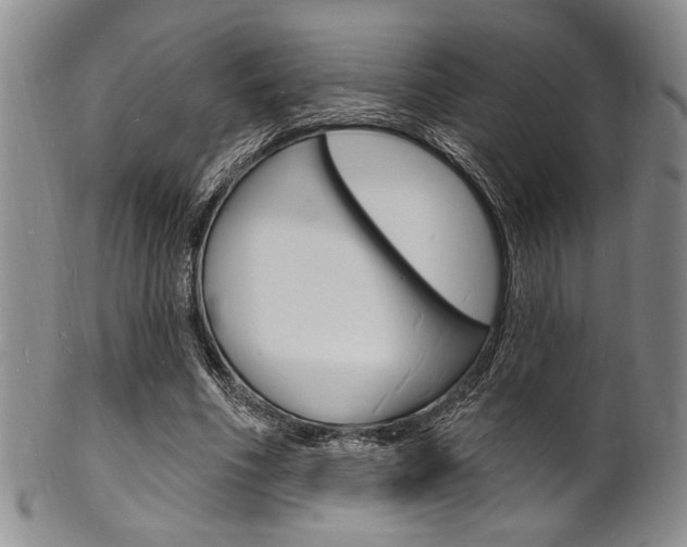 X0000101690586200807101210