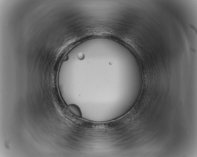 X0000101690587200807101210