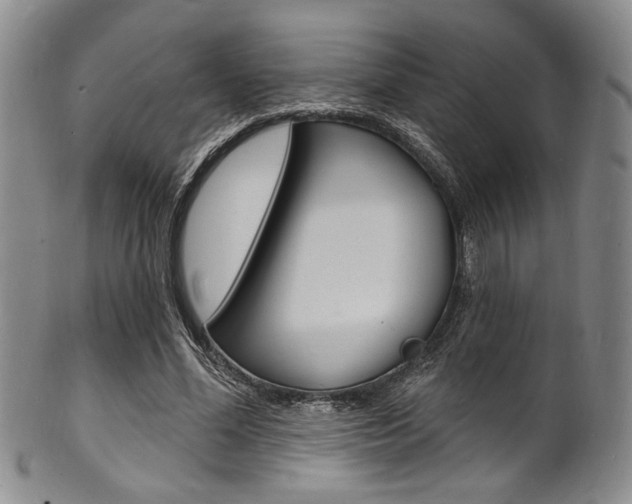 X0000101690588200807101210