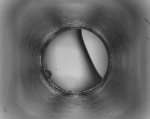 X0000101690589200807101210