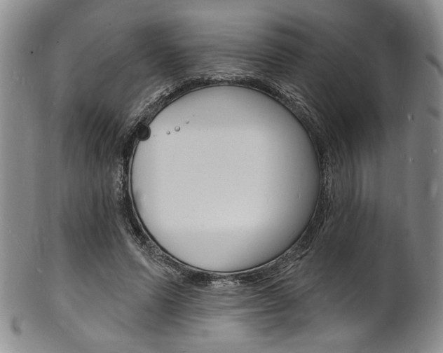 X0000101690591200807101210