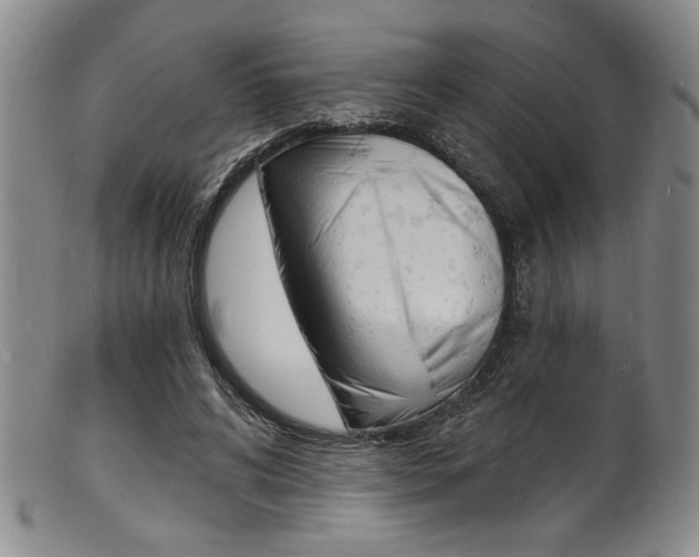 X0000101690592200807101210