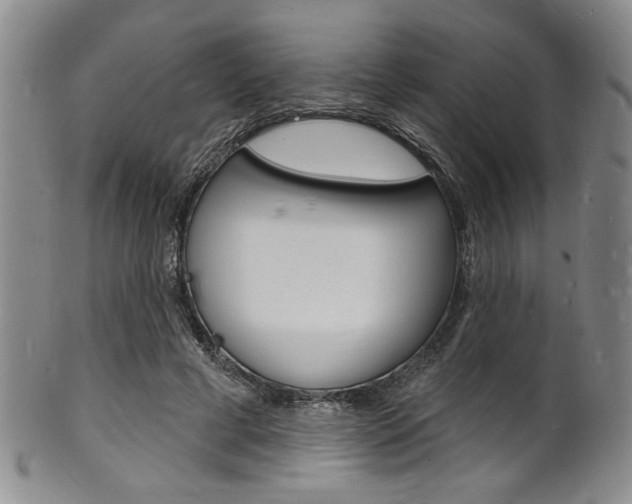 X0000101690593200807101210
