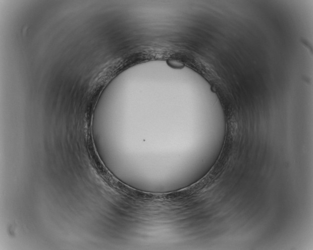 X0000101690594200807101210