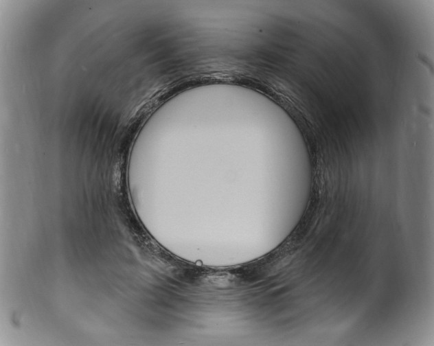 X0000101690595200807101210