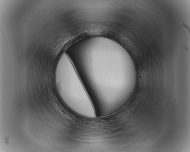 X0000101690596200807101210