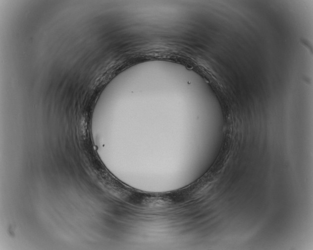 X0000101690597200807101210