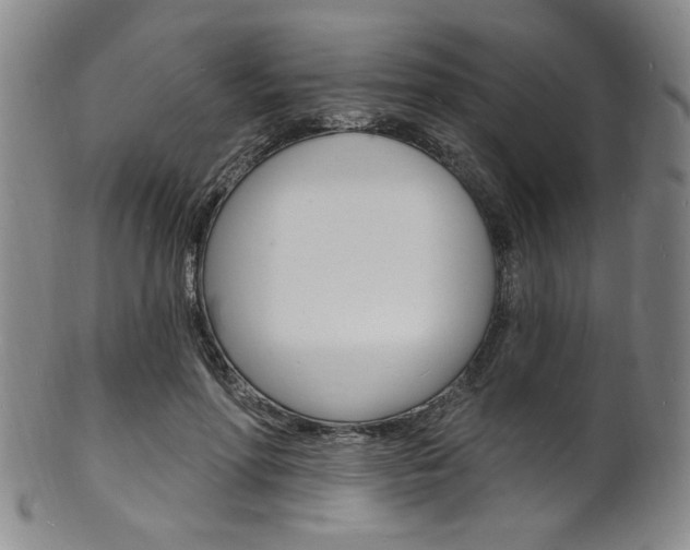 X0000101690598200807101210