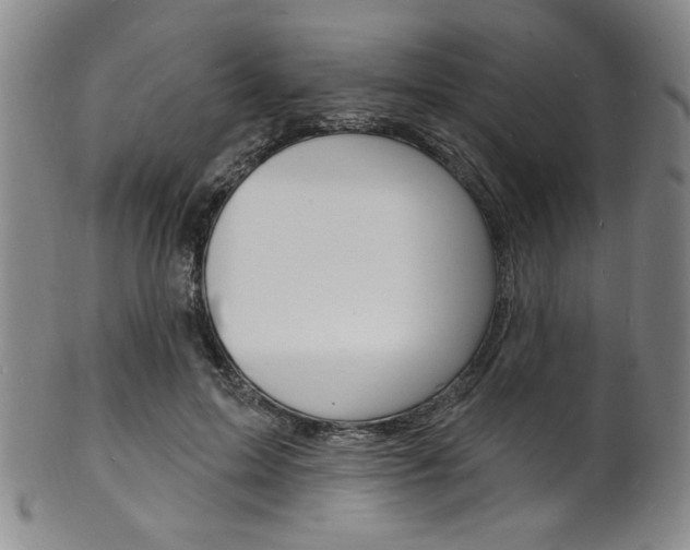 X0000101690599200807101210