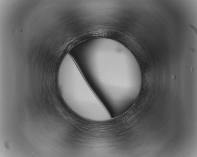 X0000101690600200807101210