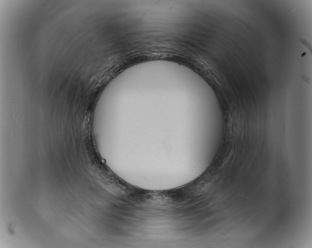 X0000101690601200807101210