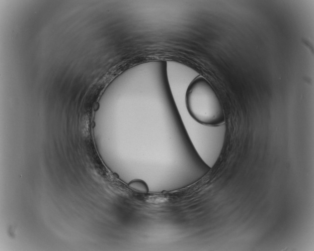 X0000101690602200807101210