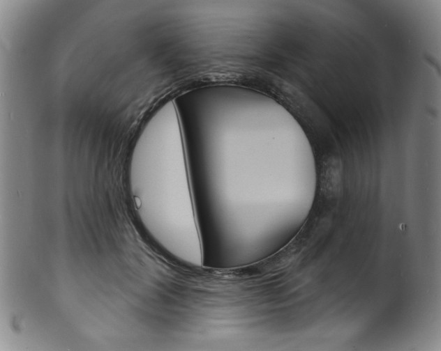 X0000101690604200807101209