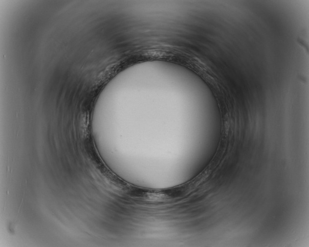 X0000101690605200807101209