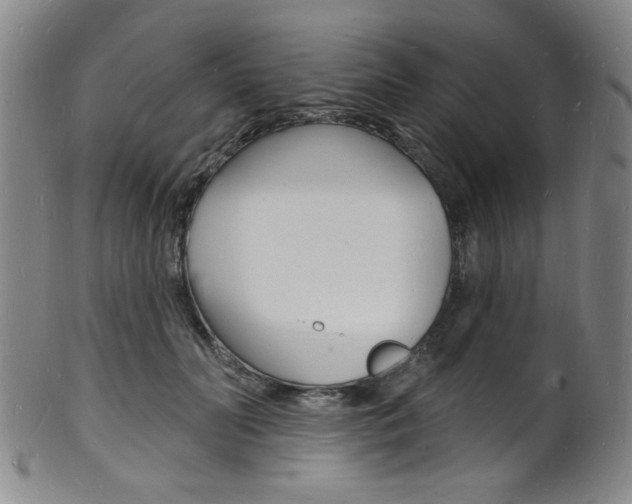 X0000101690606200807101209