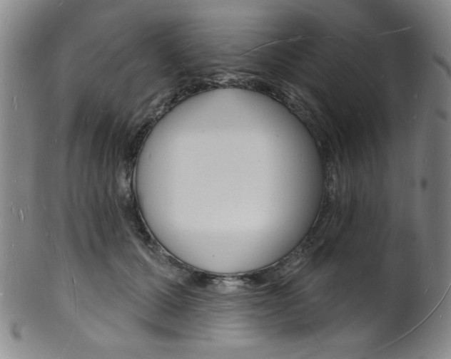 X0000101690607200807101209