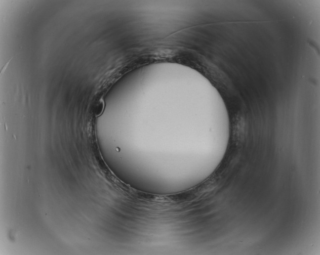 X0000101690608200807101209