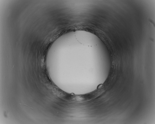 X0000101690610200807101209