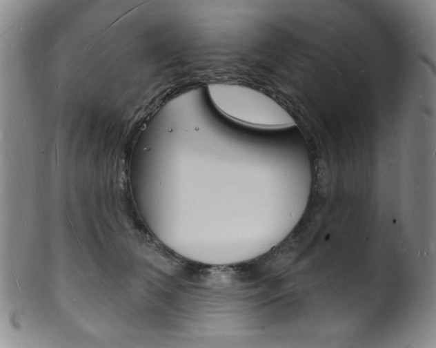 X0000101690612200807101209