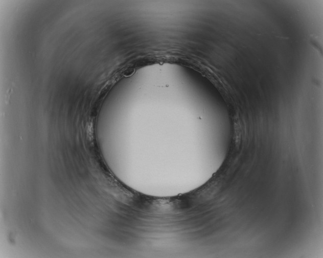 X0000101690613200807101209