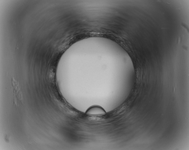X0000101690614200807101209