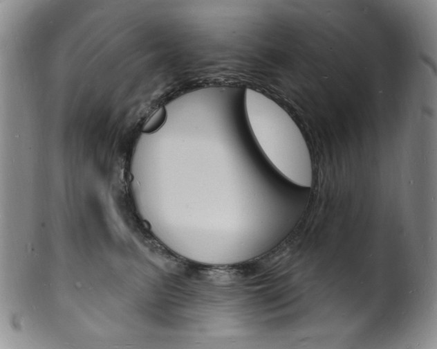 X0000101690615200807101209