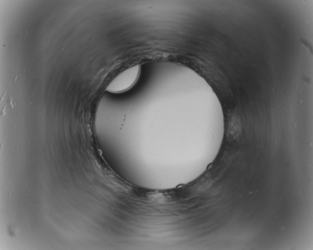 X0000101690616200807101209