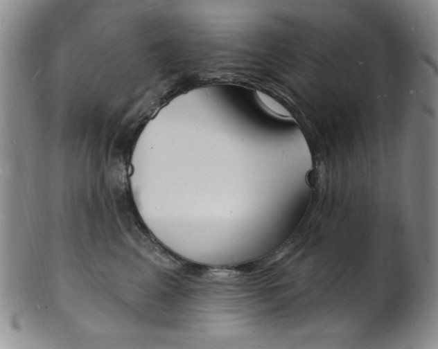 X0000101690617200807101209
