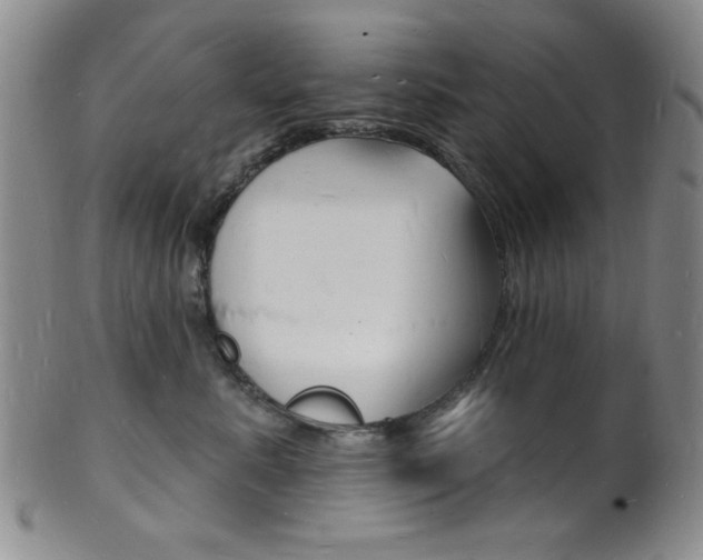 X0000101690619200807101209