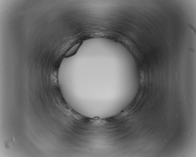 X0000101690621200807101209