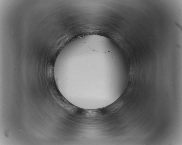 X0000101690623200807101209