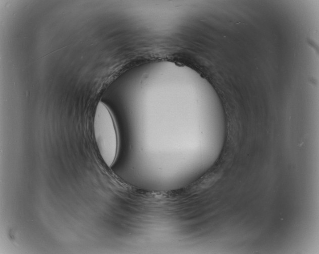 X0000101690624200807101209