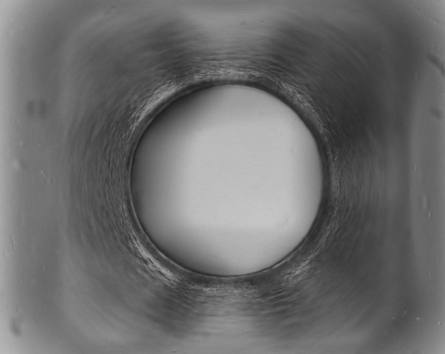 X0000101690625200807101208