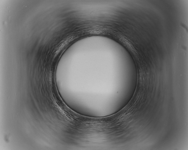 X0000101690626200807101208