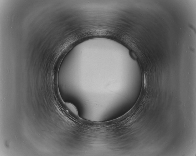 X0000101690627200807101208