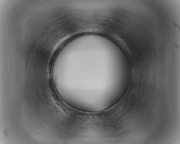 X0000101690628200807101208
