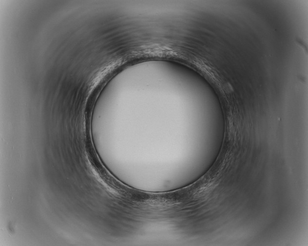 X0000101690630200807101208