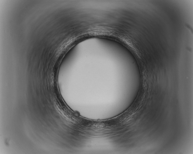 X0000101690631200807101208