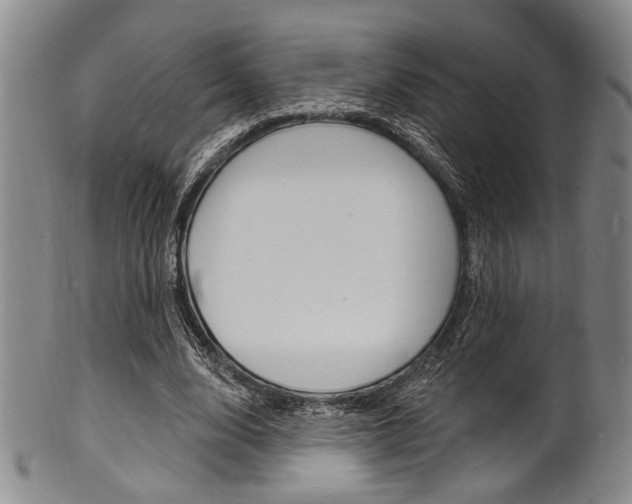 X0000101690632200807101208