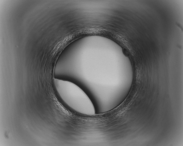 X0000101690633200807101208