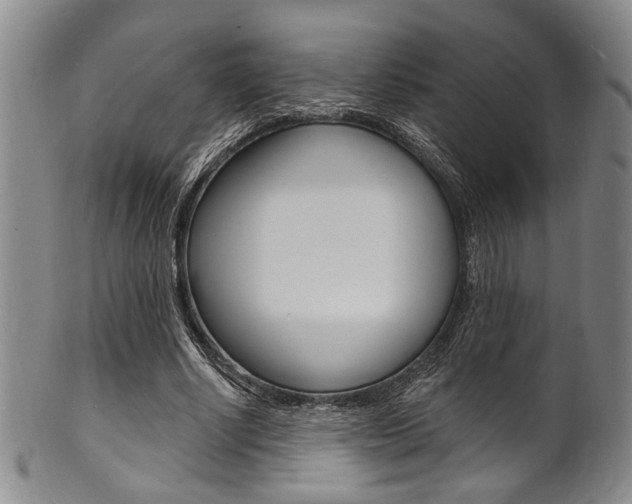 X0000101690634200807101208