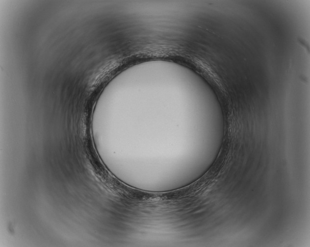 X0000101690635200807101208