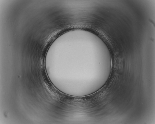 X0000101690636200807101209