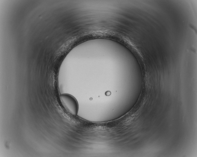 X0000101690637200807101209