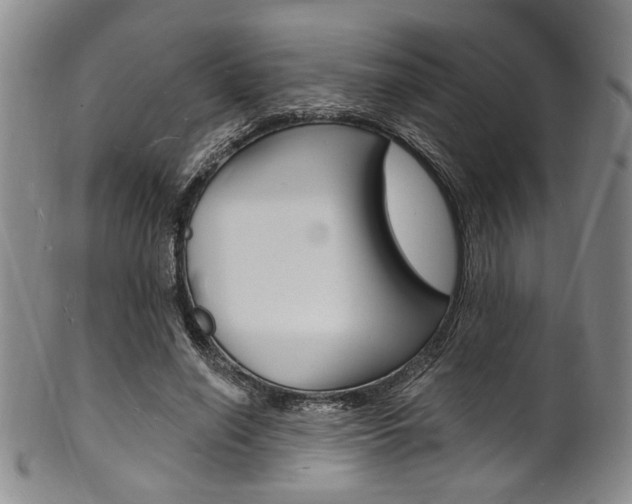 X0000101690638200807101209