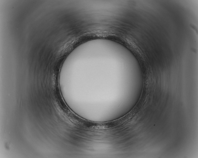 X0000101690639200807101209
