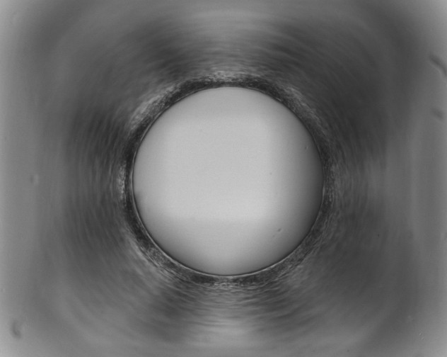 X0000101690640200807101209