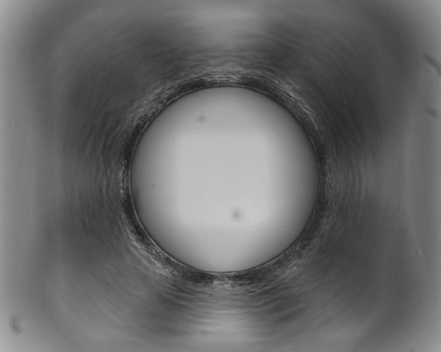 X0000101690641200807101209