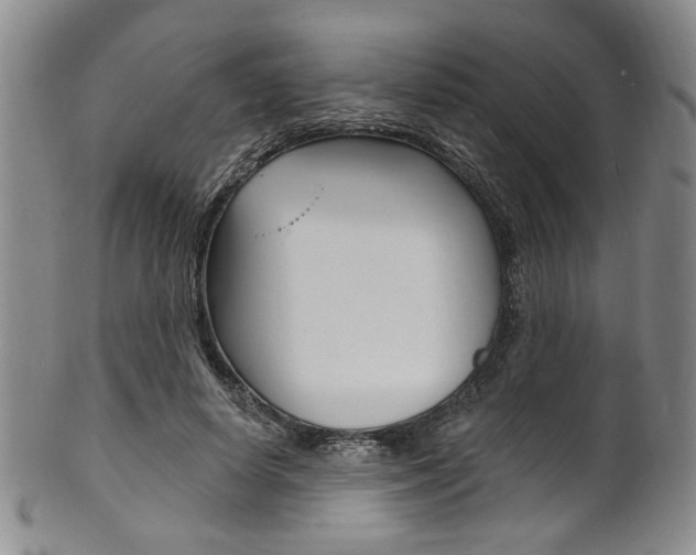 X0000101690642200807101209